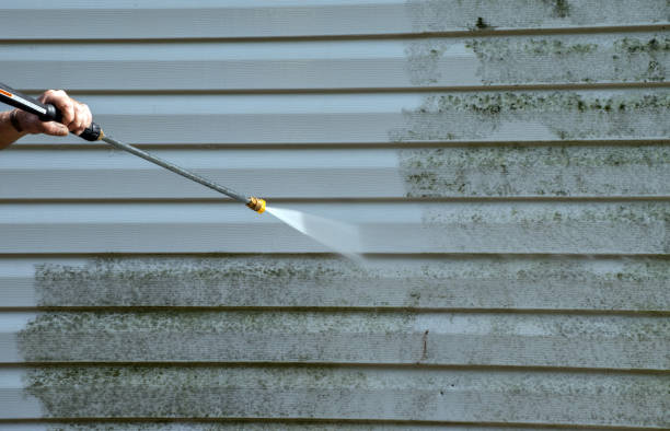 Spring Cleaning in Anacortes, WA